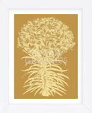 Lilies 20 (Framed) -  Botanical Series - McGaw Graphics