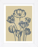 Tulip 1 (Framed) -  Botanical Series - McGaw Graphics