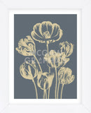 Tulip 2 (Framed) -  Botanical Series - McGaw Graphics