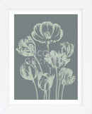 Tulip 7 (Framed) -  Botanical Series - McGaw Graphics