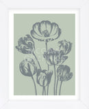 Tulip 8 (Framed) -  Botanical Series - McGaw Graphics