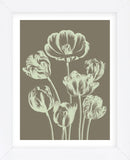 Tulip 12 (Framed) -  Botanical Series - McGaw Graphics