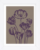 Tulip 14 (Framed) -  Botanical Series - McGaw Graphics