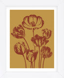 Tulip 15 (Framed) -  Botanical Series - McGaw Graphics