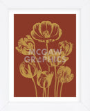 Tulip 16 (Framed) -  Botanical Series - McGaw Graphics