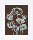 Tulip 17 (Framed) -  Botanical Series - McGaw Graphics