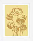 Tulip 19 (Framed) -  Botanical Series - McGaw Graphics