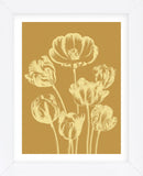 Tulip 20 (Framed) -  Botanical Series - McGaw Graphics