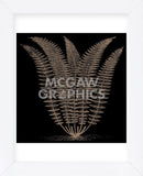 Fern (on black) (Framed) -  Botanical Series - McGaw Graphics