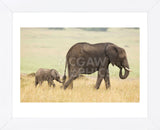 Wait for Me! (Framed) -  Mark Bridger - McGaw Graphics