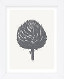 Artichoke (Ivory & Gray) (Framed) -  Botanical Series - McGaw Graphics