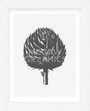 Artichoke (Ivory & Ink ) (Framed) -  Botanical Series - McGaw Graphics