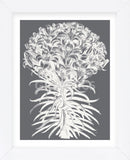 Lilies (Gray & Ivory) (Framed) -  Botanical Series - McGaw Graphics