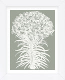Lilies (Sage & Ivory) (Framed) -  Botanical Series - McGaw Graphics