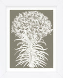 Lilies (Burlap & Ivory) (Framed) -  Botanical Series - McGaw Graphics