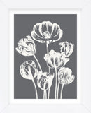 Tulips (Gray & Ivory) (Framed) -  Botanical Series - McGaw Graphics