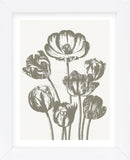 Tulips (Ivory & Burlap) (Framed) -  Botanical Series - McGaw Graphics