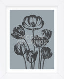 Tulips (Slate & Ink) (Framed) -  Botanical Series - McGaw Graphics