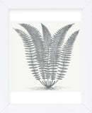 Fern (Ivory & Gray) (Framed) -  Botanical Series - McGaw Graphics