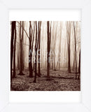 Winter Woods  (Framed) -  Erin Clark - McGaw Graphics