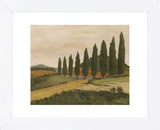 Shady Tuscan Road  (Framed) -  Jean Clark - McGaw Graphics