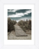 The Pathway  (Framed) -  Gill Copeland - McGaw Graphics