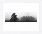 Misty Pines  (Framed) -  Erin Clark - McGaw Graphics