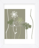 Queen Anne's Lace  (Framed) -  Erin Clark - McGaw Graphics
