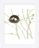 Feathers and Twigs  (Framed) -  Erin Clark - McGaw Graphics