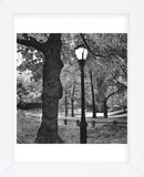 A Light in Central Park  (Framed) -  Erin Clark - McGaw Graphics