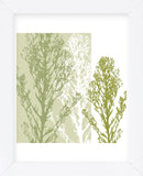 Gossamer Greens  (Framed) -  Erin Clark - McGaw Graphics