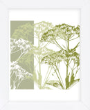 Delicate Greens  (Framed) -  Erin Clark - McGaw Graphics