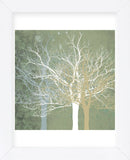 Quiet Forest  (Framed) -  Erin Clark - McGaw Graphics