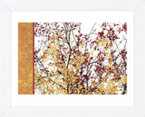 Painted Branches  (Framed) -  Erin Clark - McGaw Graphics