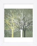 Silent Forest  (Framed) -  Erin Clark - McGaw Graphics