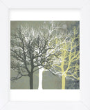 Tranquil Forest  (Framed) -  Erin Clark - McGaw Graphics