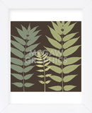 Field Botanical  (Framed) -  Erin Clark - McGaw Graphics