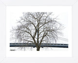 Manhattan Bridge Span with Tree  (Framed) -  Erin Clark - McGaw Graphics