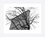Flatiron with Tree (b/w)  (Framed) -  Erin Clark - McGaw Graphics