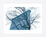 Blue Flatiron  (Framed) -  Erin Clark - McGaw Graphics