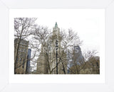 Woolworth Building from City Hall Park  (Framed) -  Erin Clark - McGaw Graphics