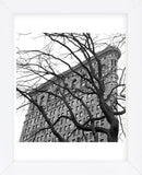 Flatiron with Tree (b/w) (detail)  (Framed) -  Erin Clark - McGaw Graphics