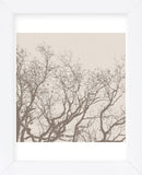 Majesty II  (beige)  (Framed) -  Erin Clark - McGaw Graphics