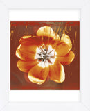 Tulip Fresco (red) (Framed) -  Erin Clark - McGaw Graphics