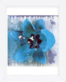 Tulip Fresco (blue) (Framed) -  Erin Clark - McGaw Graphics