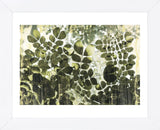 Dappled Radiance (Framed) -  Erin Clark - McGaw Graphics