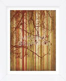 Auburn Stripe (Framed) -  Erin Clark - McGaw Graphics