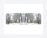 Winter Archway (Framed) -  Erin Clark - McGaw Graphics