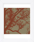Cinnamon Tree IV (Framed) -  Erin Clark - McGaw Graphics