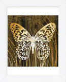 Butterflies & Leaves II (Framed) -  Erin Clark - McGaw Graphics